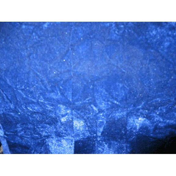 Crushed Flocking Velvet Upholstery/Curtain Fabric 10 Colors 60" by The Yard (ROYAL BLUE)