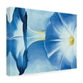 thumbnail image 3 of Trademark Fine Art Vincent Van Gogh Night Caf with Pool Table Canvas Wall Art - 14x19, 3 of 5