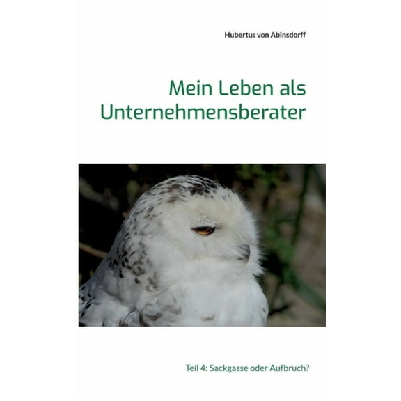 Mein Leben als Unternehmensberater: Teil 4: Sackgasse oder Aufbruch?, (Paperback)