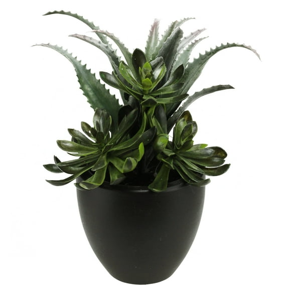 Northlight 11" Mixed Succulent Plant Artificial Potted Arrangement - Green/Black