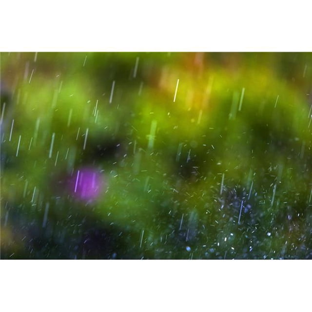 Posterazzi DPI1832704 Rainfall Poster Print, 17 x 11