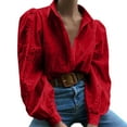 thumbnail image 4 of Ounisa Womens Blouses V Neck Eyelet Lapel Tops Sheer Long Sleeve Shirts Embroidered Blouses 2025 Fashion, 4 of 8