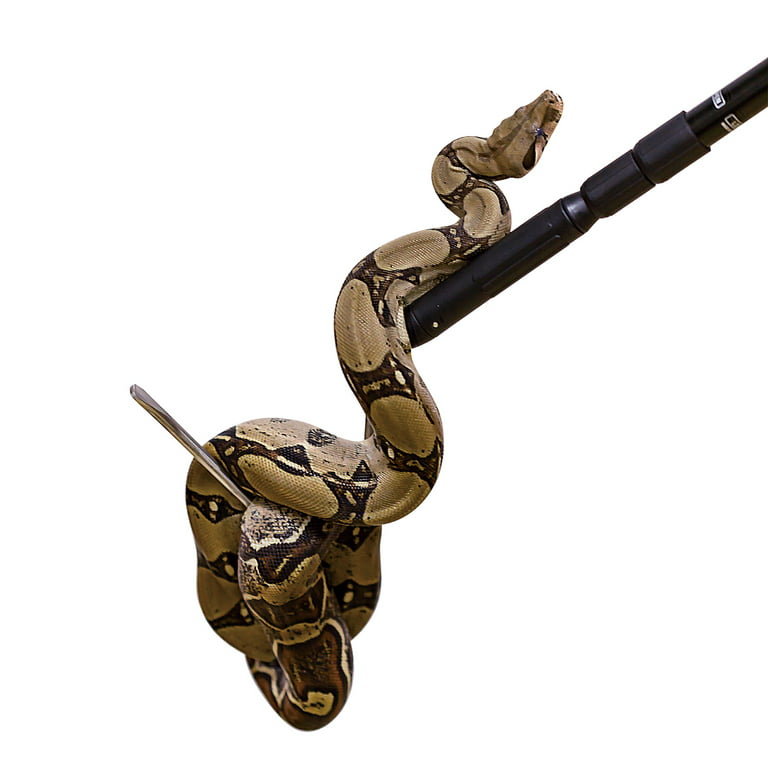 Shop 57 Snake Catcher Professional Stainless Steel Retractable Snake Hook  – REPTI ZOO