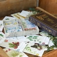 thumbnail image 4 of Juego de mesa Dux Somnium Botany: Perilous Perfumes Expansion, 4 of 5