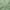 Sage Green, variant on OVZME White Sheer Curtains 84 inch Length 2 Panels Set, Semi Transparent Voile Rod Pocket Sheer Window Drapes for Bedroom Living Room Dining Wedding Party Backdrop, 40W x 84L inch