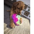 thumbnail image 4 of goDog Furballz - Pelota de Peluche chirriante para Perro, tecnología de protección masticable, Arco  multicolor, 4 of 9