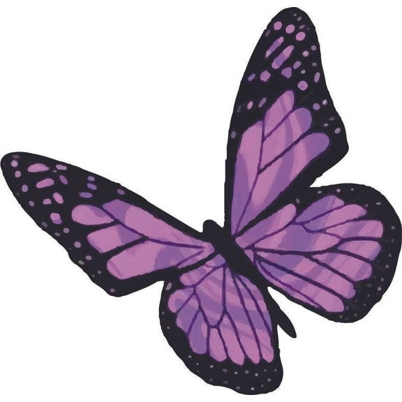 Butterfly Butterflies Animal Vinyl Stained Glass Film Static Cling Window Waterproof Decal for Girls Boys Kids Room Bedroom Nursery House Fun Home Decor Stickers Wall Art Vinyl Decoration (30x30 inch)