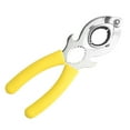thumbnail image 2 of Grifo Yuanzi B, 2 of 7