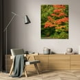 thumbnail image 3 of Vitaly Geyman 24x32 Gallery Wrapped Canvas Wall Art Titled - Fall Maple Fever VIII, 3 of 4