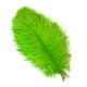 thumbnail image 3 of 10 plumas de avestruz grandes de 15 a 60 cm, plumas de avestruz blancas, centros de mesa de carnaval, accesorios de decoración para fiestas y bodas, 3 of 5