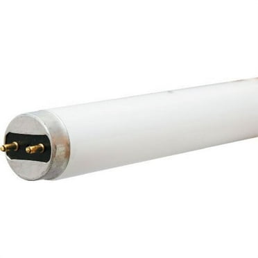 GE Lighting 15986 6-Watt 295-Lumen 9-Inch T5 Fluorescent Light Bulb, Cool White