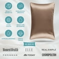 thumbnail image 5 of Bare Home 100% Mulberry Silk Zipper Pillowcase - Perfect for Hair and Skin - Premium 6A Grade, 19 Momme Silk - Standard, Taupe, 5 of 9