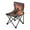 Majestic Powerful Lion, variant on 600D Oxford Camping Chair Portable Foldable Chair Supports 220 lbs for Picnic, Fishing, Backpacking Silver and Black Butterfly