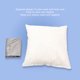 thumbnail image 2 of Almohada y funda de tiro de 16 x 16 pulgadas almohada de tiro de terciopelo suave para la oficina ANGGREK Otros, 2 of 7