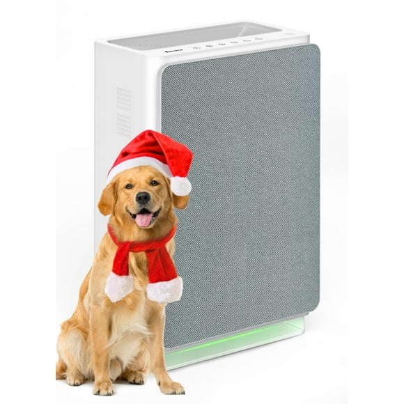 Purificador de aire VEWIOR H13 True HEPA para habitación grande de 300 m²