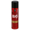 Continental Consumer Products Salon Grafix Play It Big! Dry Shampoo, 5.3 oz