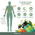 thumbnail image 3 of Primal Harvest Total Cleanse: Full Body Detox with L. Acidophilus, 60 Capsules, 3 of 7