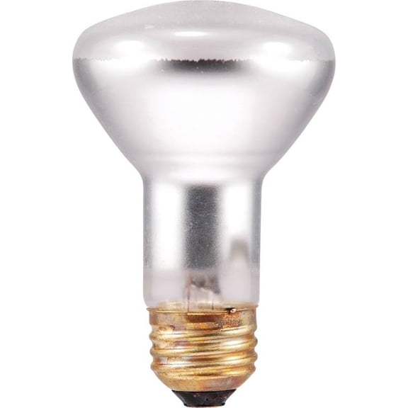 Sylvania 45 Watt R20 Double Life Sm Indoor Flood