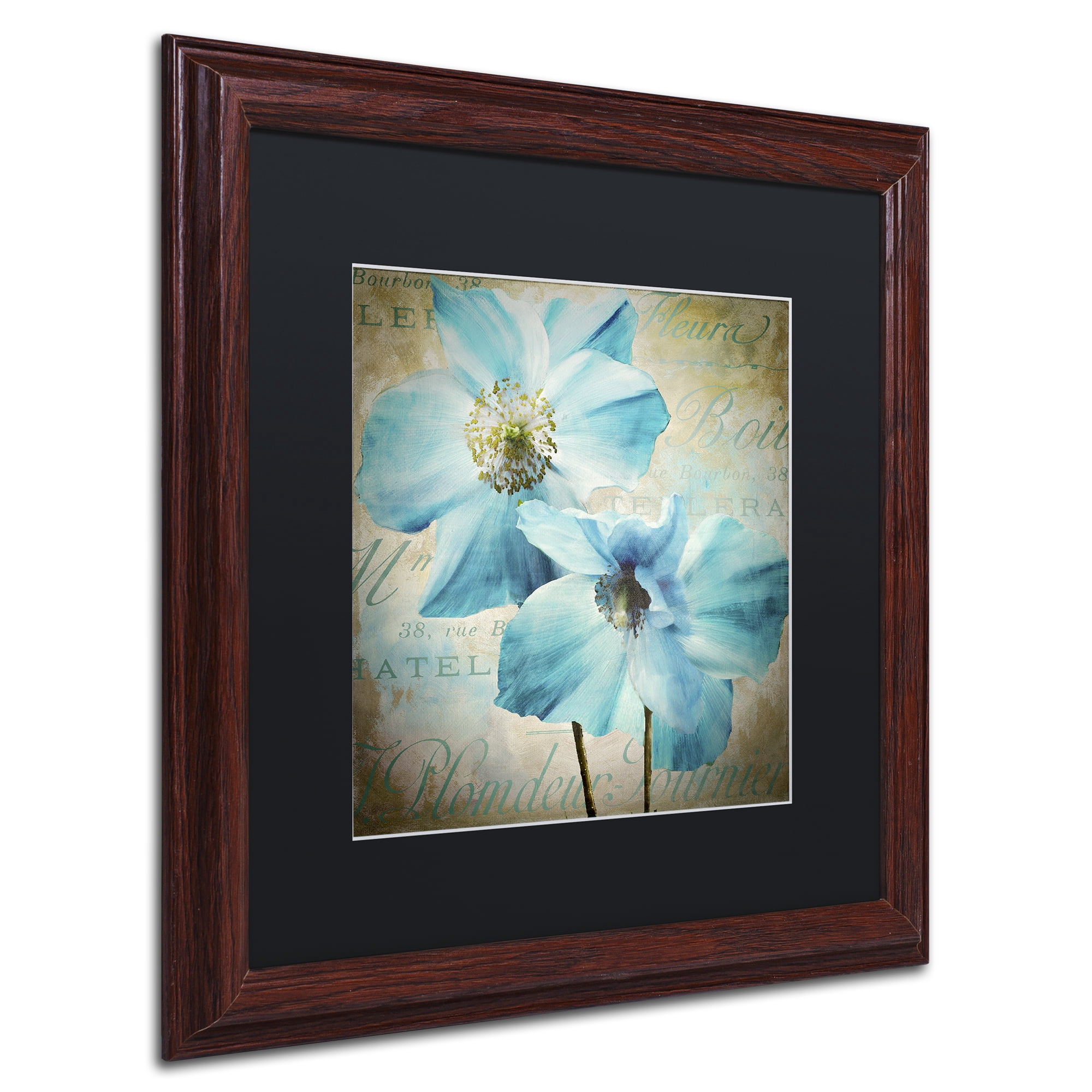 Trademark Fine Art 'Himalayan Blue I' Matted Framed Art by Color Bakery
