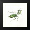 thumbnail image 2 of Vision Studio 20x20 Black Modern Framed Museum Art Print Titled - Green Mantis, 2 of 5