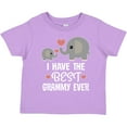 thumbnail image 3 of Inktastic Grandkids Best Grammy Ever Gift Boys or Girls Toddler T-Shirt, 3 of 5