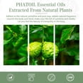 thumbnail image 6 of Bergamot Essential Oil 30ml/1.01fl.oz, PHATOIL Premium Bergamot Oils for Diffuser, Soap Making, Candle Making, Long Lasting Scents, 6 of 6