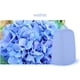 thumbnail image 5 of 3 uds cepillo de dientes Pod caja de cepillo de dientes portátil Material de alimentos accesorios de baño JShteea Cuidado Belleza, 5 of 7