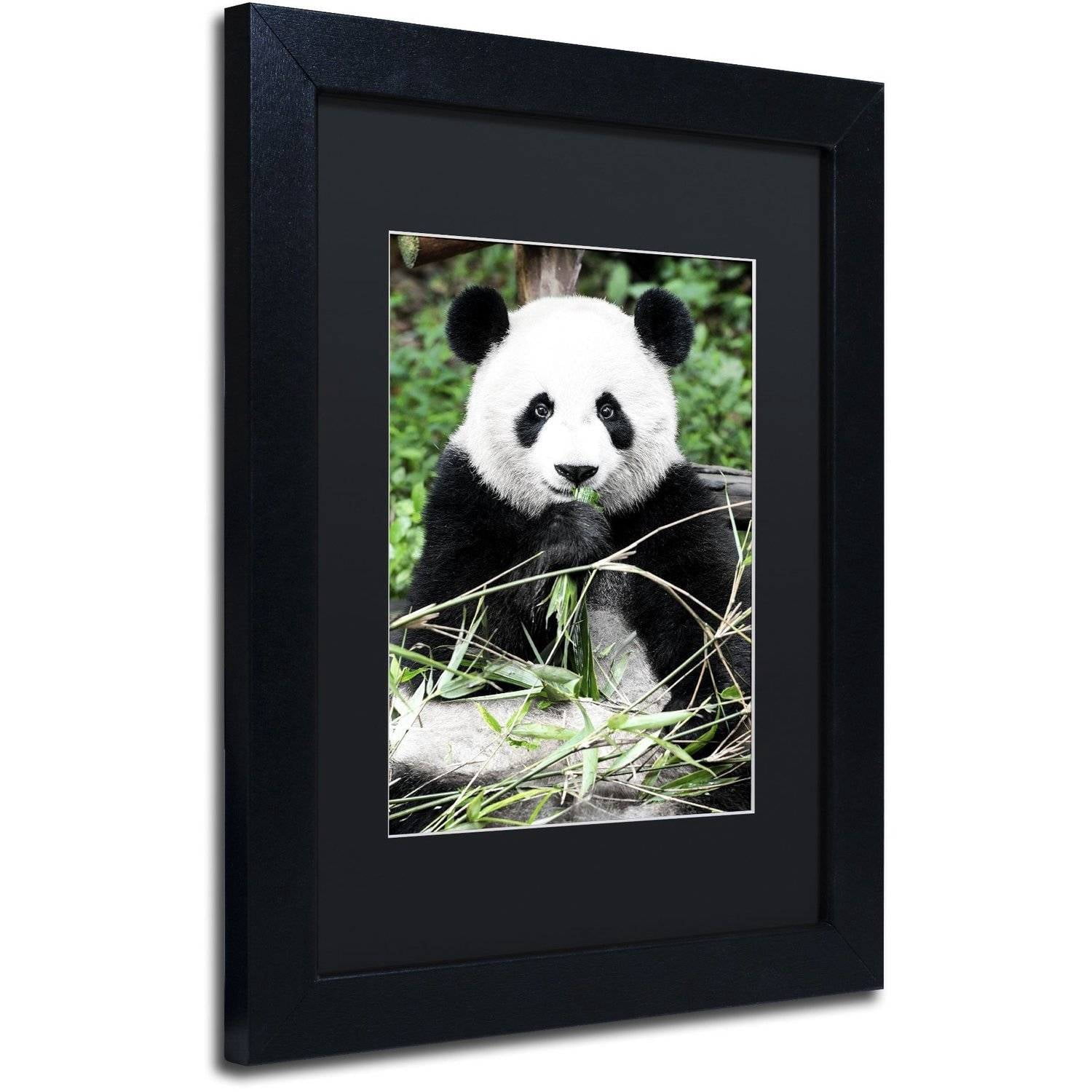 Trademark Fine Art "Giant Panda" Canvas Art by Philippe Hugonnard, Black Matte, Black Frame