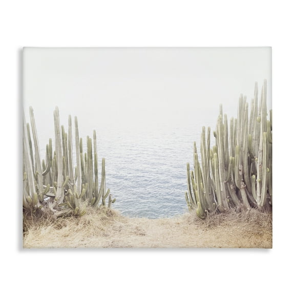 Stupell Industries Seaside Cacti Plants Nautical & Beach Photography Wrapped Canvas Art Print Wall Art, 20 x 16