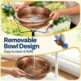 thumbnail image 3 of SPECSTAR Bird Bath with Solar Fountain for Outside, Weather-Resistant ABS Birdbath Bowl with Solar Powered Pump, Metal Ground Stake for Outdoor, Garden, 1.45 Gallons, Bronze, 3 of 7