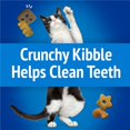 thumbnail image 4 of Friskies Cat Treats, Party Mix Beachside Crunch - 30 oz. Pouch, 4 of 5