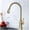 Brushedgold, variant on Kitchen Sink Faucet Brass 360 Degrees Rotation Pull Out Sprayer 2 Modes Single Handle Mixer Tap,brushedgold