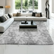 Qunler 5 x 8 Rug for Living Room, Large Washable Shag Rug, Indoor Modern Tie-dye Area Rugs for Bedroom, Rectangle Fluffy Home Carpets, Gray