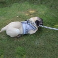 thumbnail image 3 of 1pc Arnés transpirable para perros Chaleco de malla de poliéster Correa Correa para el pecho para mascotas (Gris Tmvgtek Para estrenar, 3 of 6