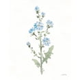 thumbnail image 2 of Pete, Katrina 15x18 White Modern Wood Framed Museum Art Print Titled - Flowers of the Wild III, 2 of 4