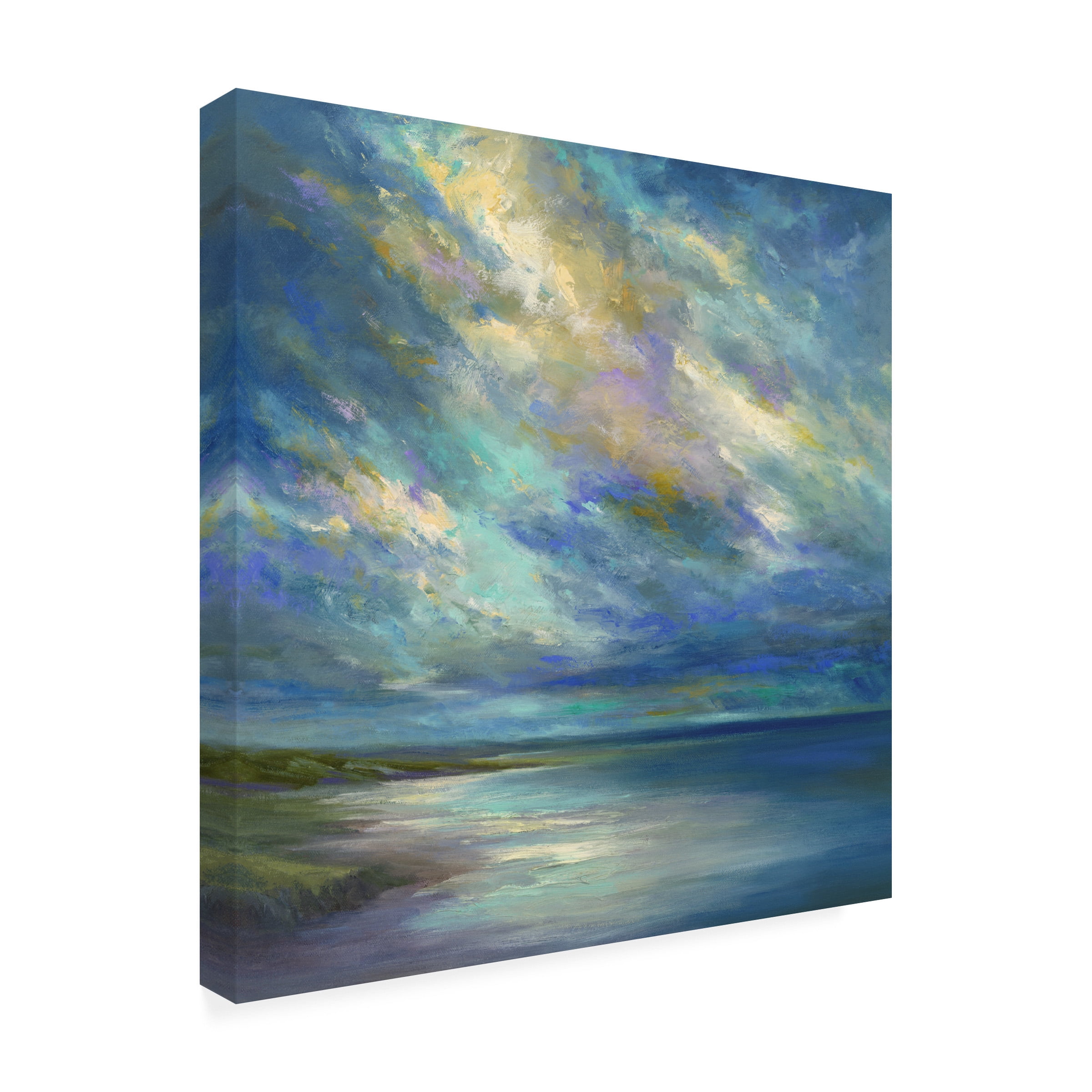 Sheila Finch 'Drifting Winds' Canvas Art