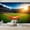 sunset green, variant on Wallpaper Soccer Ball Abstract Paint Splatter Dynamic Composition Peel and Stick Wall Murals 100"H x 144"W Removable PVC Wall Paper Self-Adhesive Wall Paintings Art Decor for Bedroom Living Room