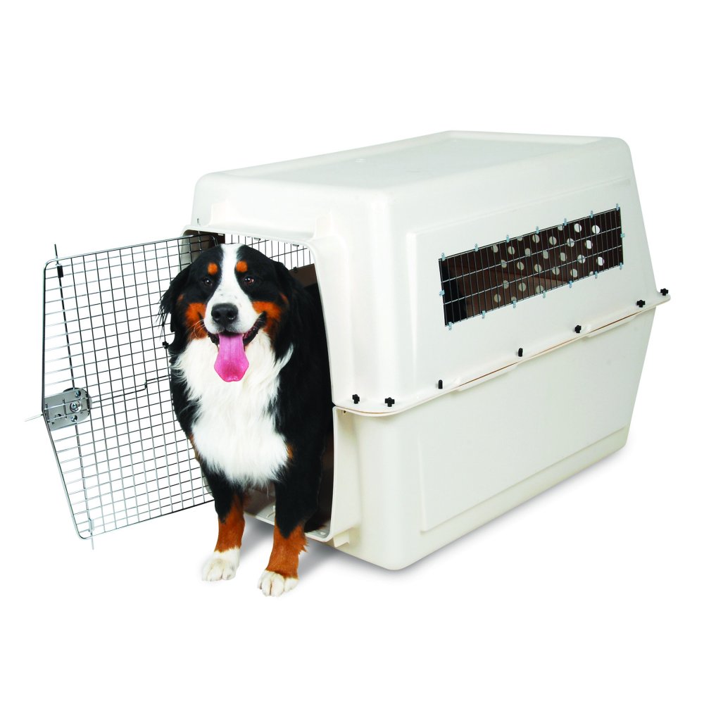Petmate Vari Kennel Plastic Dog Crate, Bleached Linen, XLarge, 48"L x