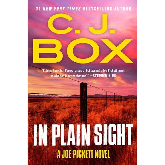 In Plain Sight Binding: Paperback