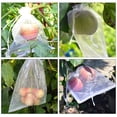 thumbnail image 1 of Bolsas De Protección De Frutas 100 bolsas de protección para frutas, bolsa de cultivo de malla reutilizable, accesorios de jardín (blanco) Wdftyju Libre de BPA, 1 of 3