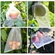thumbnail image 5 of Bolsas De Protección De Frutas 100 bolsas de protección para frutas, bolsa de cultivo de malla reutilizable, accesorios de jardín (blanco) Ndcxsfigh Libre de BPA, 5 of 9