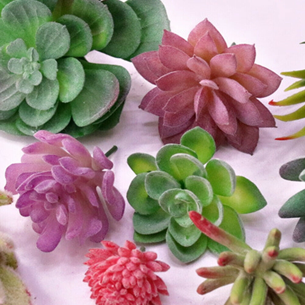 Assortment Artificial Succulents Set Different Type Garden Fake Plant