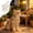 White, variant on Dog Leash Strong Cord Pet Leash for Small Medium Dogs Cats, Durable Pet Walking Lead with Comfortable Grip, Lightweight Dog Lead for Outdoor Walking Training Daily Use