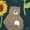 Bear Sunflower, variant on Naloa Cute Bunny Men's Beach Shorts, Surfing shorts, Swim trunks, Quick Dry Swim Trunks for Surfing Beach Fun - Small