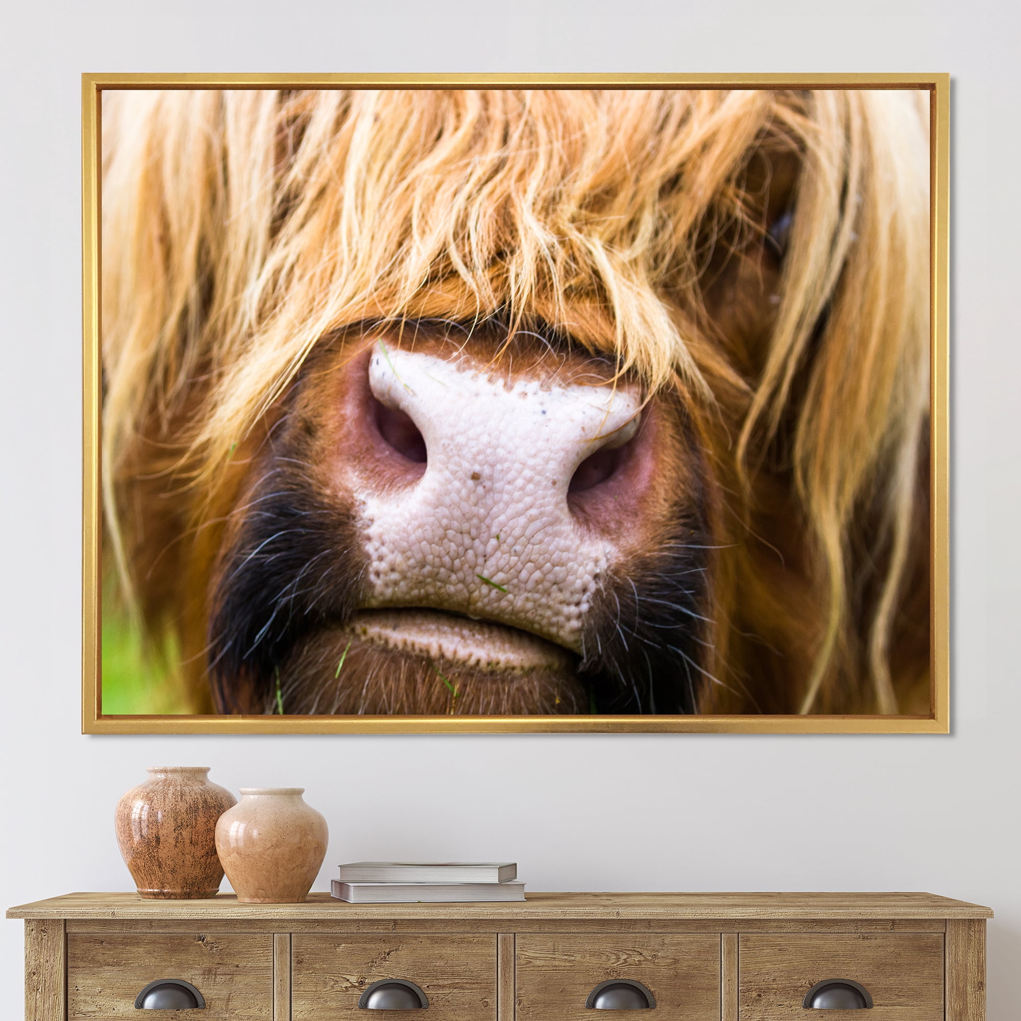 Close-Up Highland Cattle 32 in x 16 in Framed Photography Canvas Art Print, by Designart