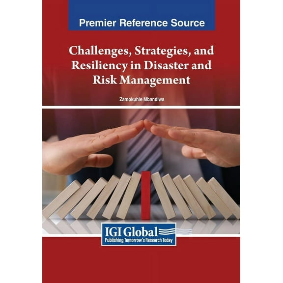 Challenges, Strategies, and Resiliency in Disaster and Risk Management, (Paperback)