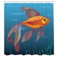 thumbnail image 2 of Ambesonne Goldfish Shower Curtain, Aquarium Fishes in Water, 69"Wx70"L, Vermilion Orange, 2 of 4