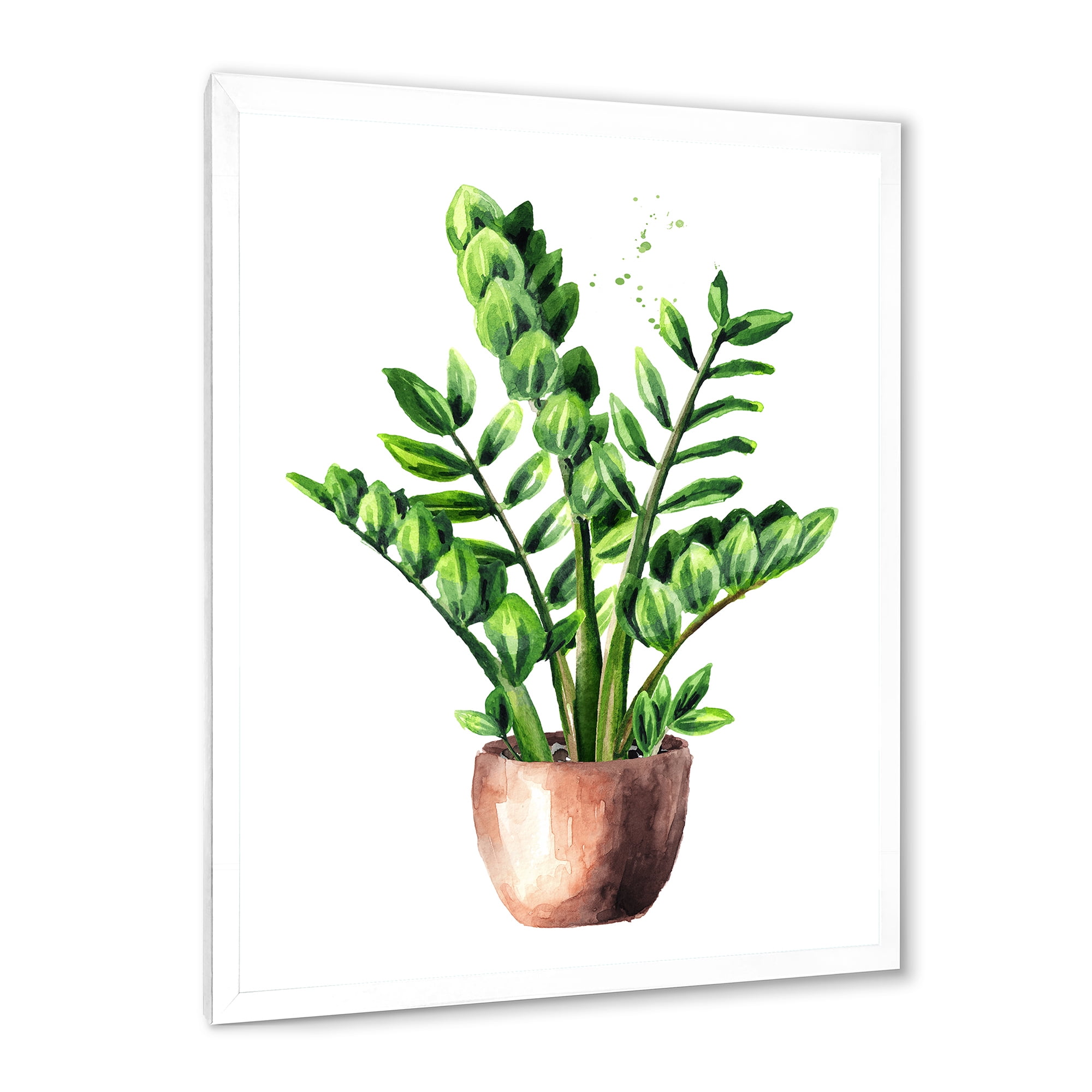 Designart 'Zamioculcas Tropical Plant With Green Leaves On White' Traditional Framed Art Print