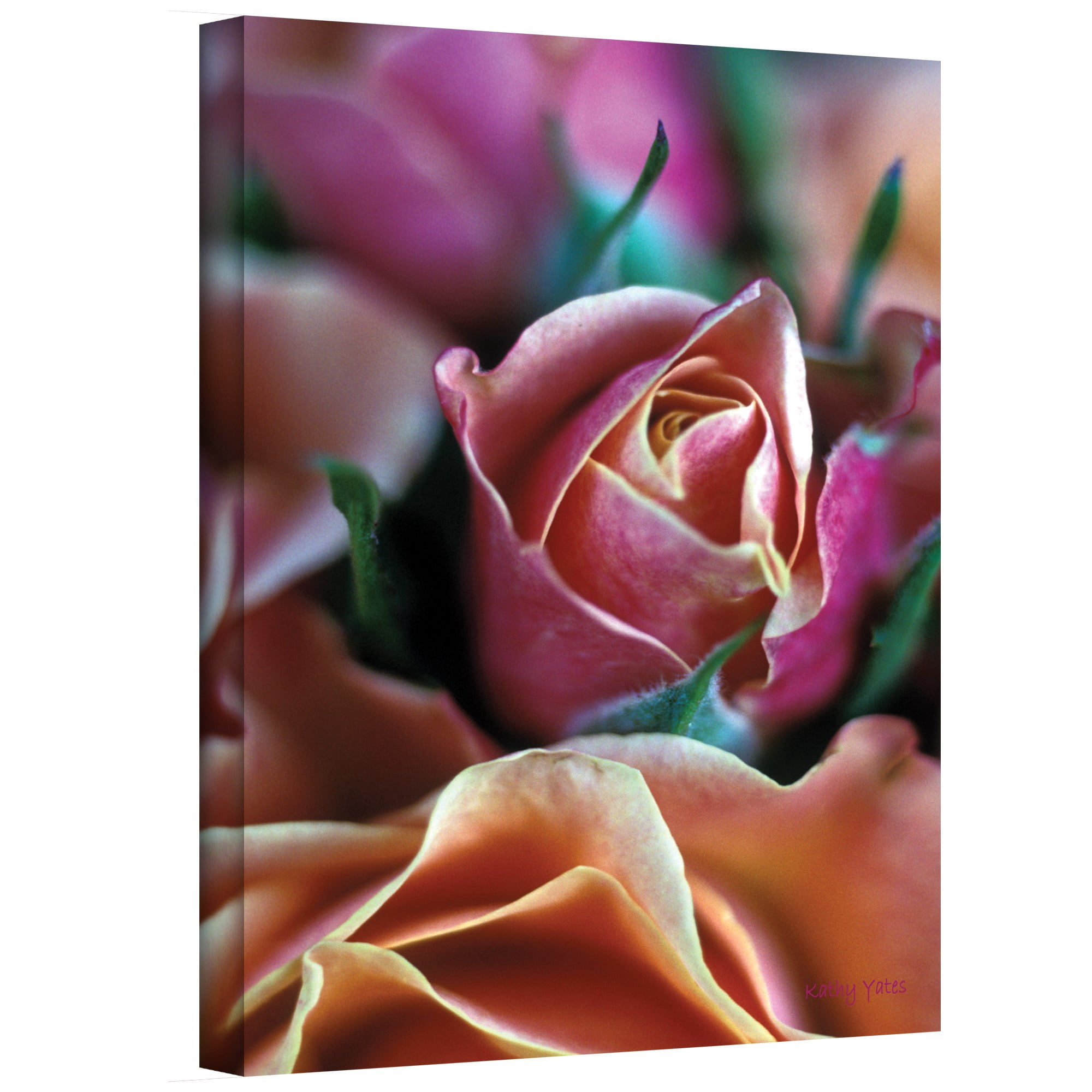 Kathy Yates "Mauve And Peach Roses" Canvas Art