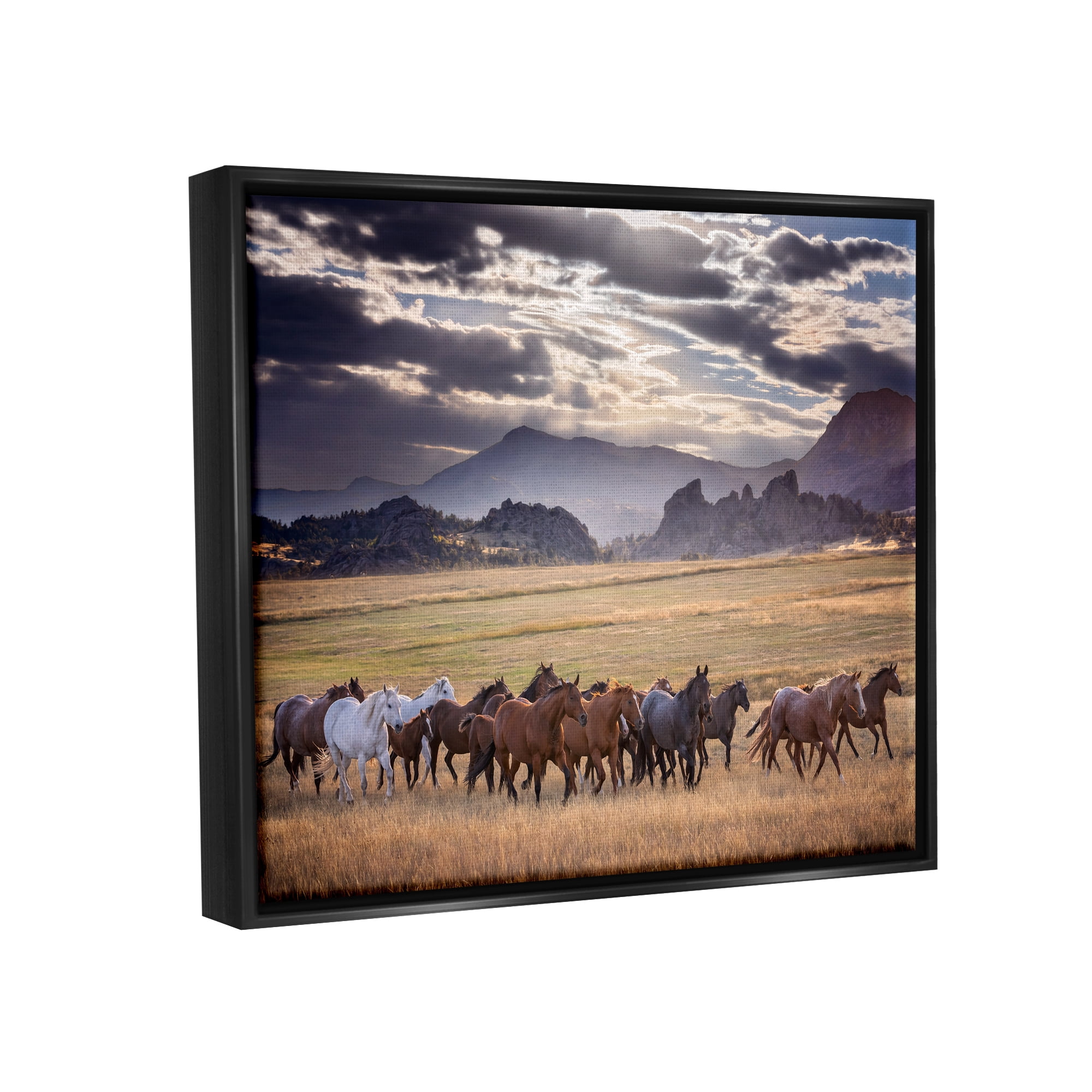 Stupell Industries Galloping Horses Cloudy Mountains Landscape Photography Black Floater Framed Canvas Art Print Wall Art, 31 x 25